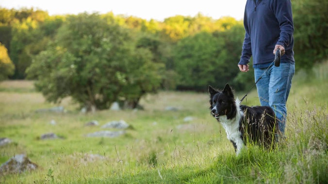 Visitors walking through the sheltered valley at Lockeridge Dene and Piggledene, near Marlborough, Wiltshire